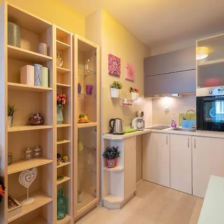 Apartment Color Dance