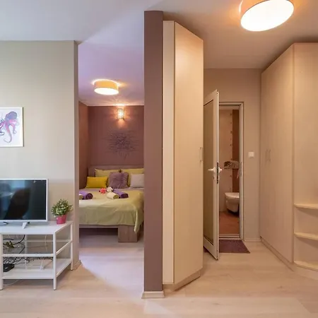 Apartment Color Dance *